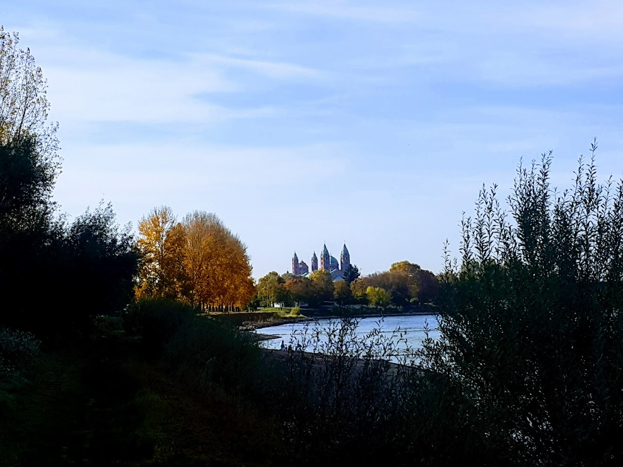 Dom vom südlichen Rheinufer